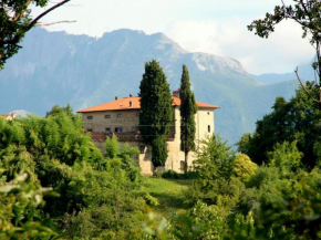 Historic Cottage in Fivizzano with Swimming Pool